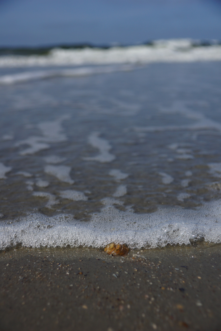 Auf Norderney 