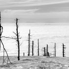 auf Nordschwarzwalds Höhen