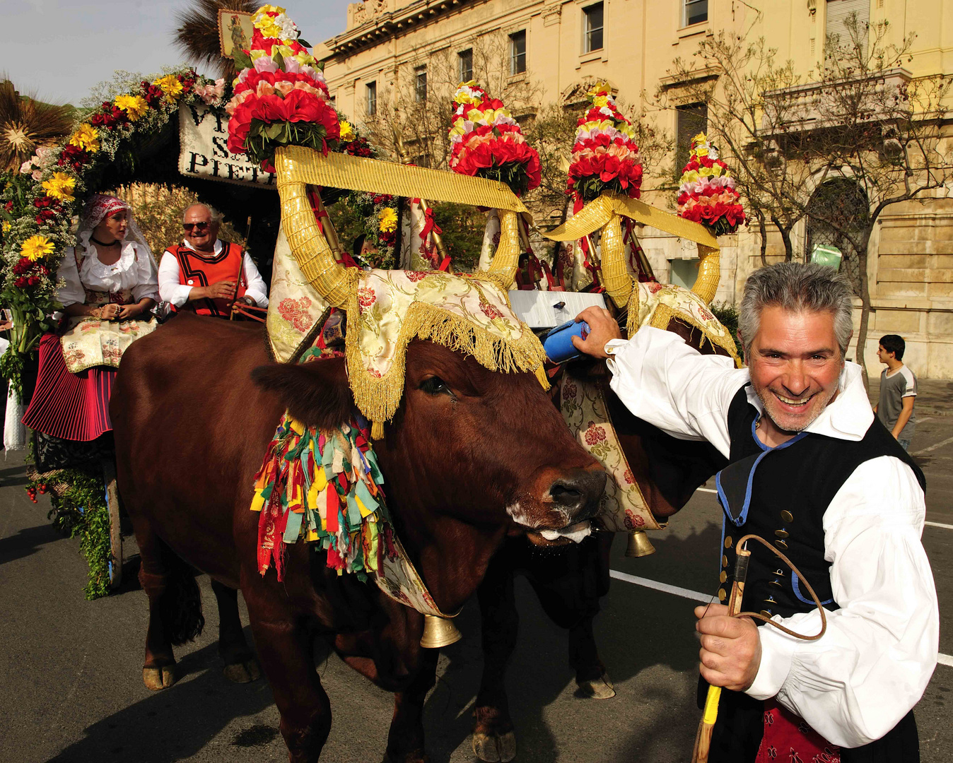 Auf Ochsenkarren geht es bei der Sagra di Sant´Efisio durch Cagliari