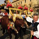 Auf Ochsenkarren geht es bei der Sagra di Sant´Efisio durch Cagliari