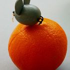 'Auf Orange gesetzt ' - seit mehr als einem Jahr! :))