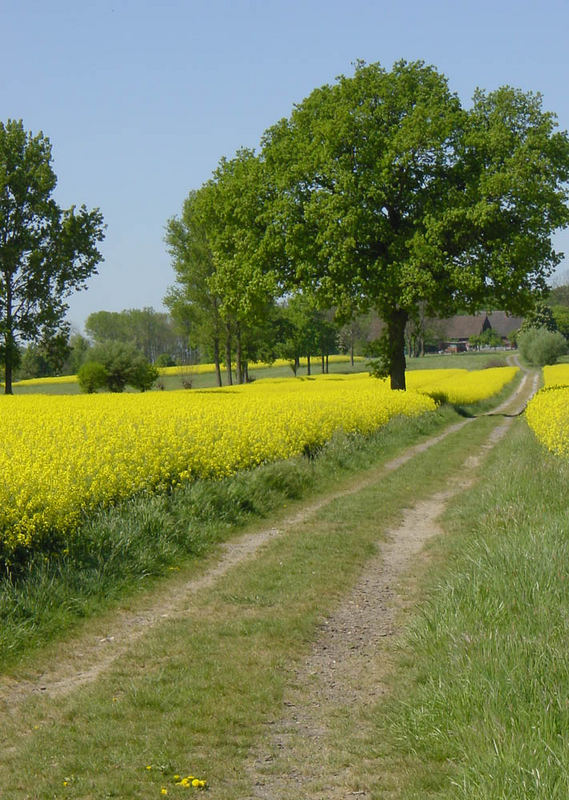 Auf Pättkesfahrt im Münsterland