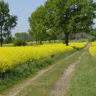 Auf Pättkesfahrt im Münsterland