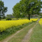 Auf Pättkesfahrt im Münsterland