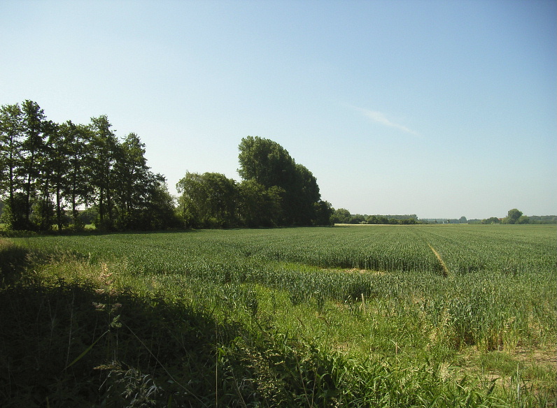 Auf Pättkesfahrt im Münsterland