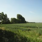 Auf Pättkesfahrt im Münsterland