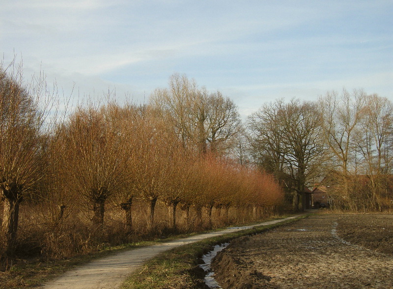 Auf Pättkesfahrt im Winter