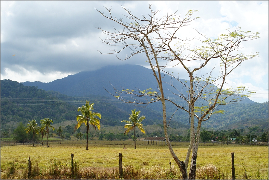 auf Palawan