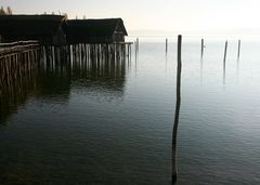 Auf Pfählen gebaut