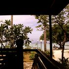 Auf Phi Phi Island