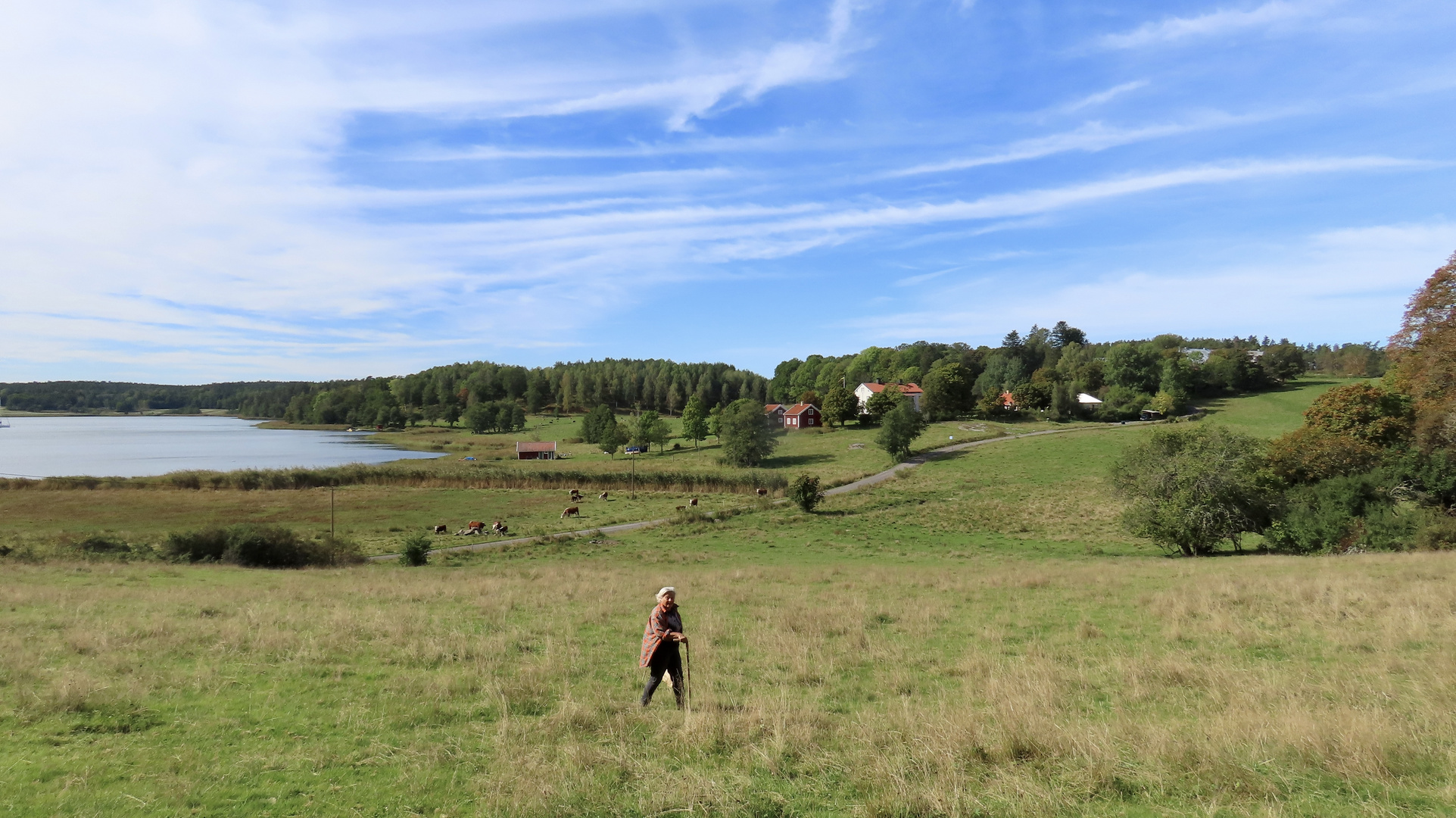 Auf Pilze-Jagd über Gut Vittvik in Östergötland