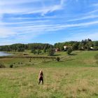 Auf Pilze-Jagd über Gut Vittvik in Östergötland