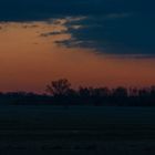 Auf Pirsch im Naturpark Westhavelland