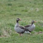 Auf Pirsch im Naturpark Westhavelland