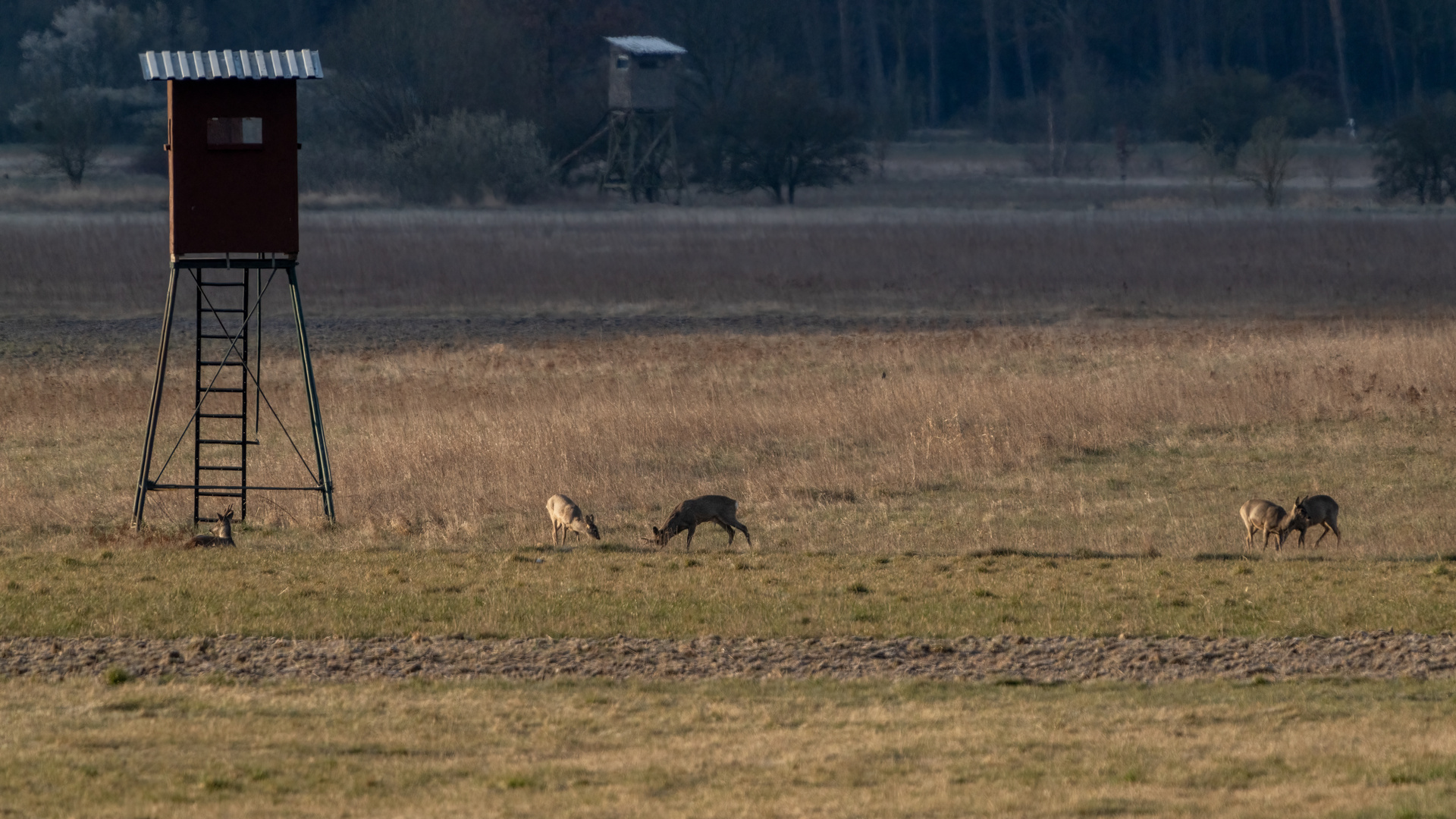 Auf Pirsch im Naturpark Westhavelland