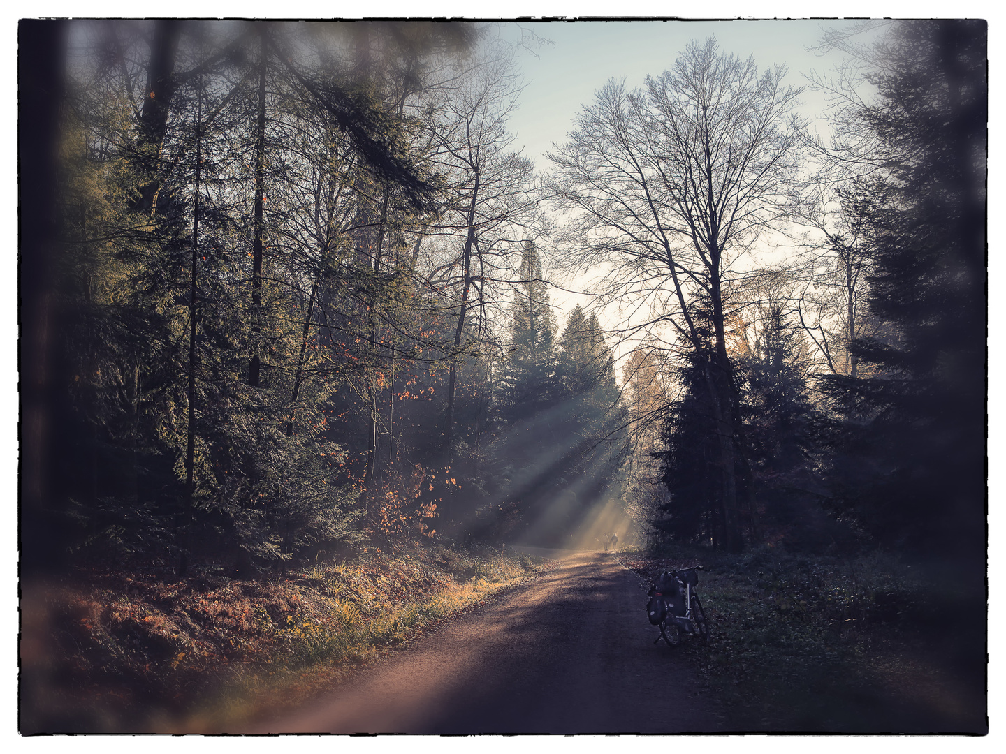 auf Radtour im Herbstwald