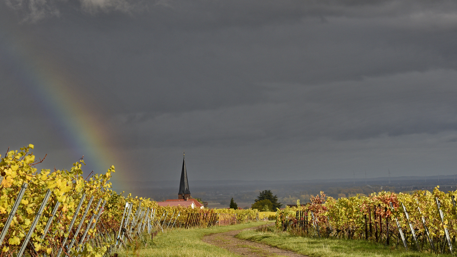 auf Regen...