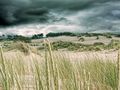 auf Regen folgt der Sonnenschein von Michaelsim 