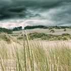 auf Regen folgt der Sonnenschein