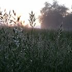 Auf Regen folgt Sonne