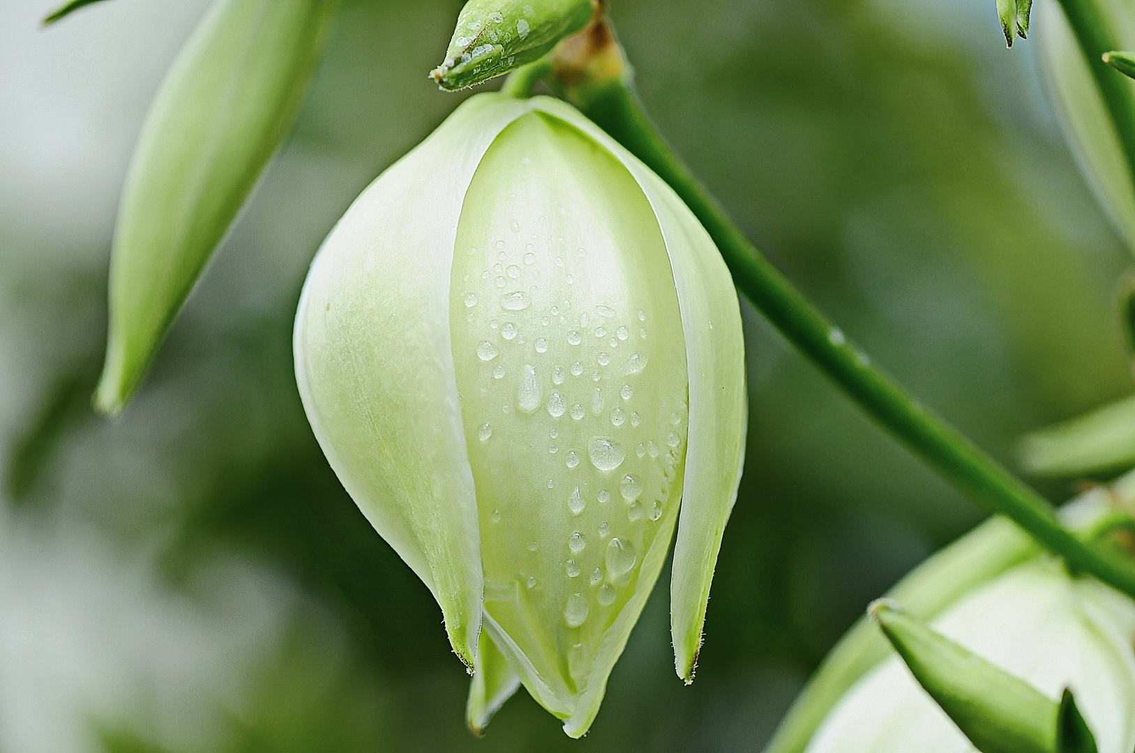 Auf Regen folgt Sonne