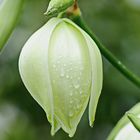 Auf Regen folgt Sonne