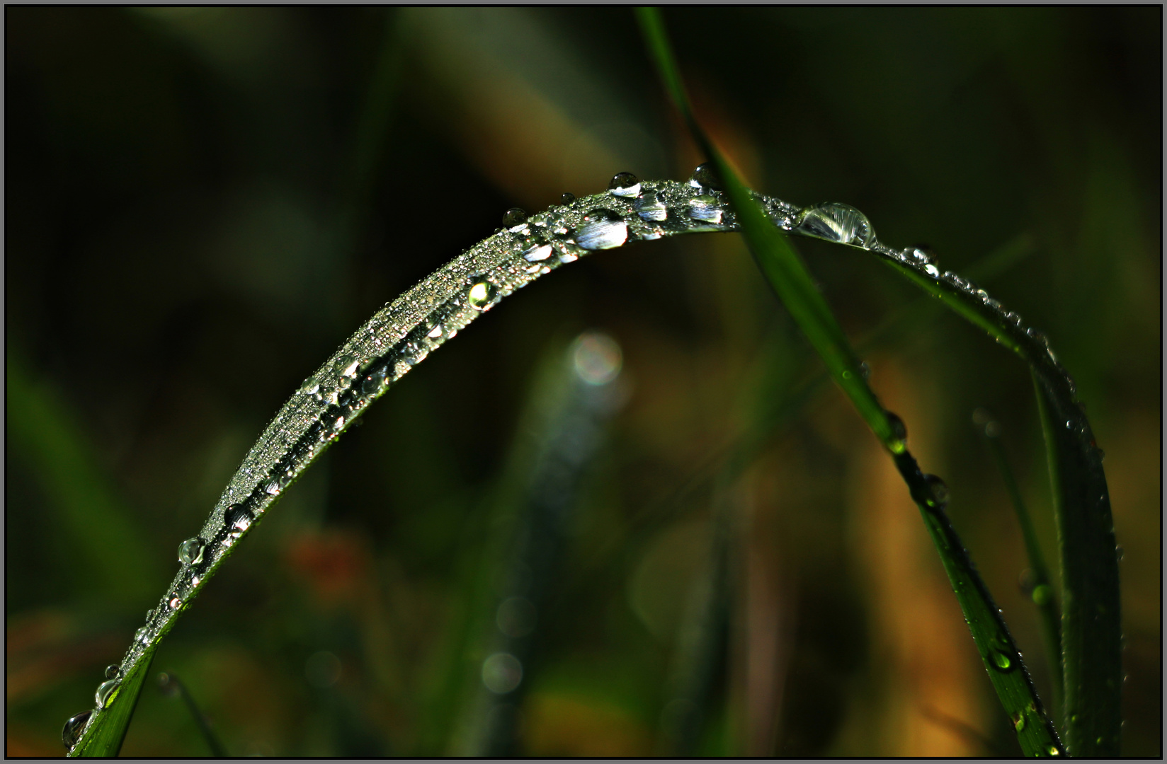 Auf Regen folgt Sonne (1)