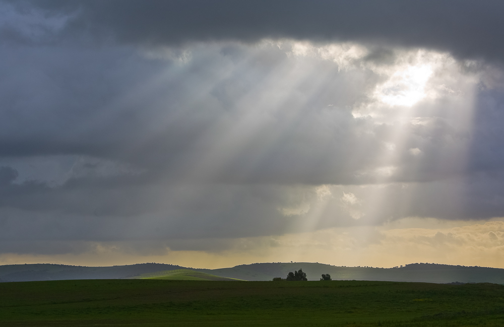 Auf Regen folgt Sonne