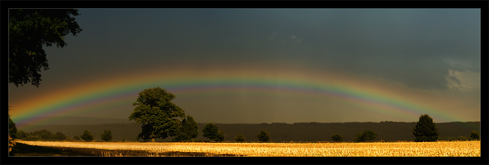 Auf Regen folgt Sonne [2]