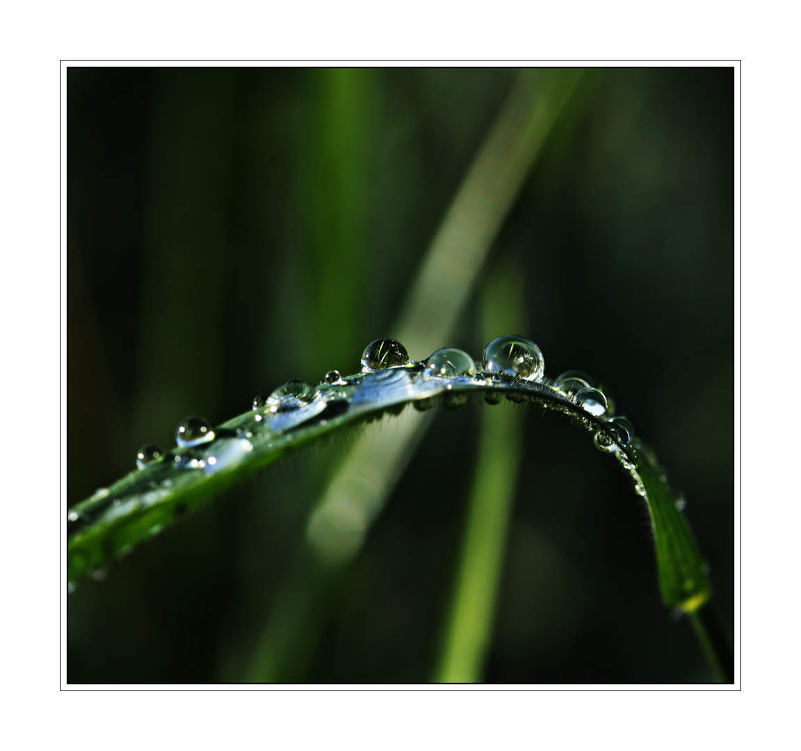 Auf Regen folgt Sonne (2)