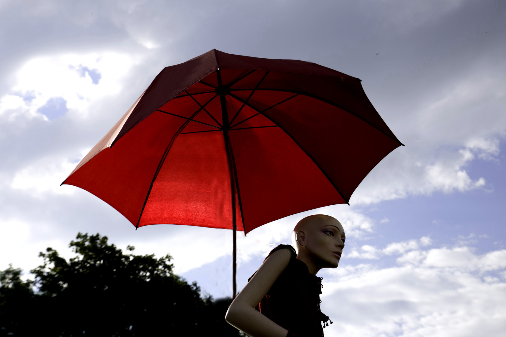 Auf Regen folgt Sonne