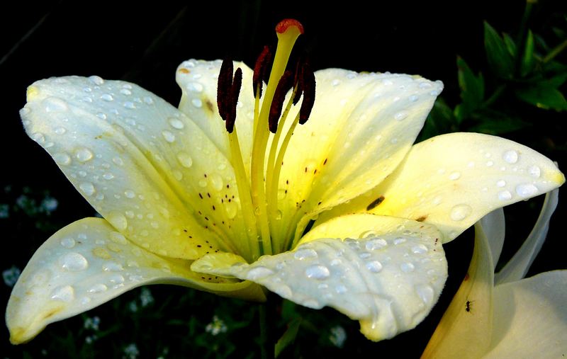 auf Regen folgt Sonne...