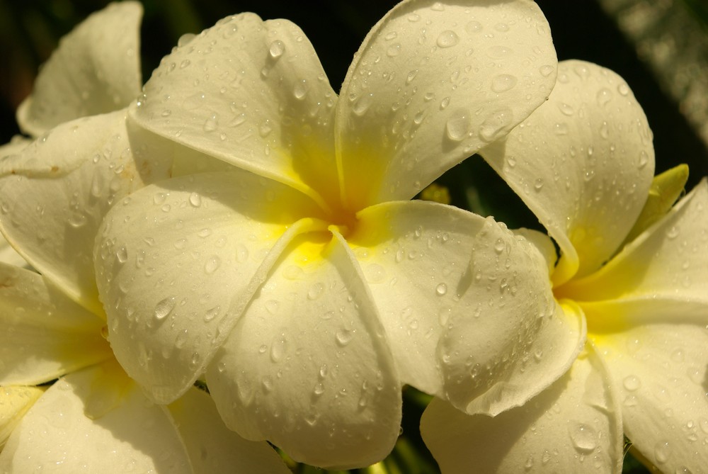 Auf Regen folgt Sonne