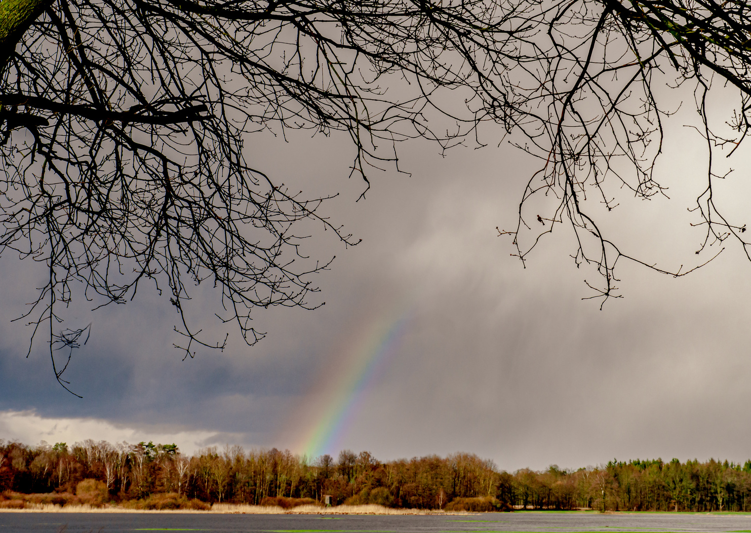 Auf Regen folgt Sonne!