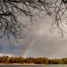 Auf Regen folgt Sonne!