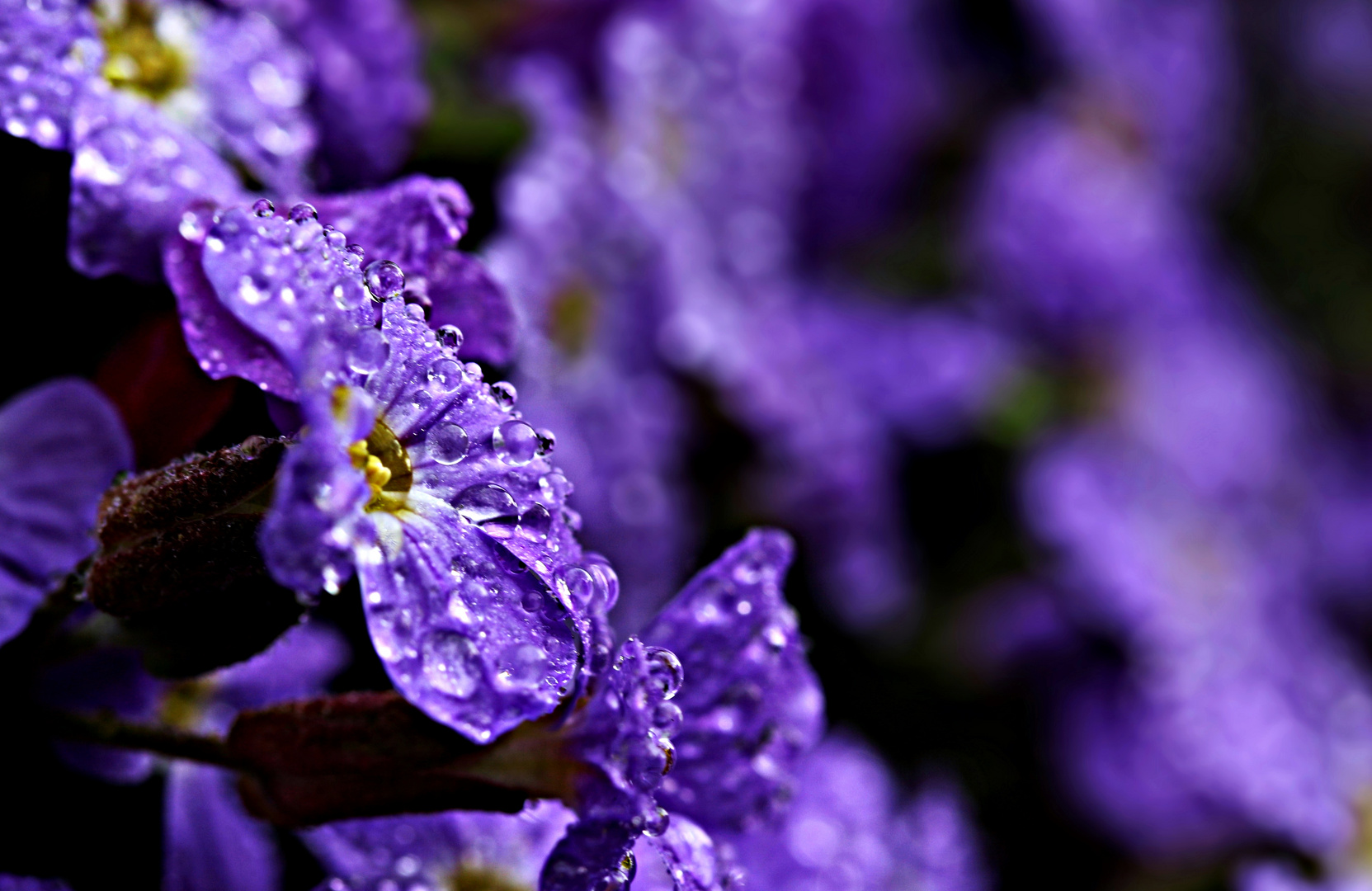 Auf Regen folgt Sonne