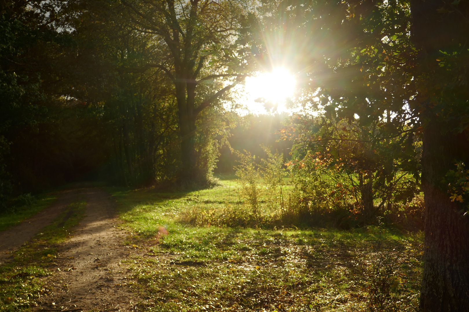 auf Regen folgt Sonne Foto Bild jahreszeiten auf Regen folgt Sonne Foto Bild jahreszeiten