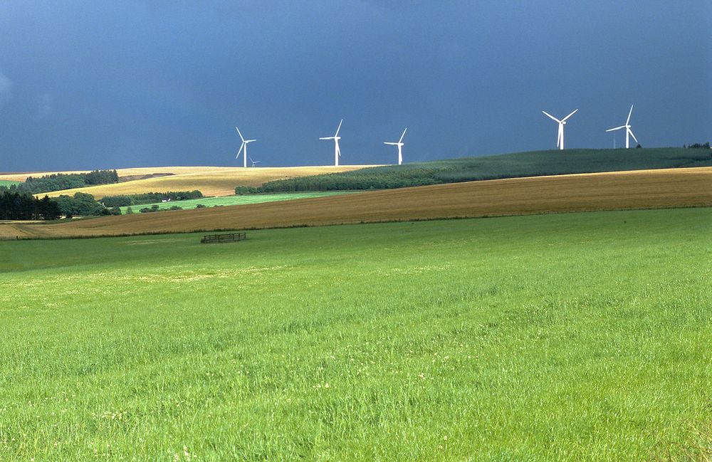 Auf Regen folgt Sonnenschein