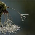 ...auf Regen folgt Sonnenschein...