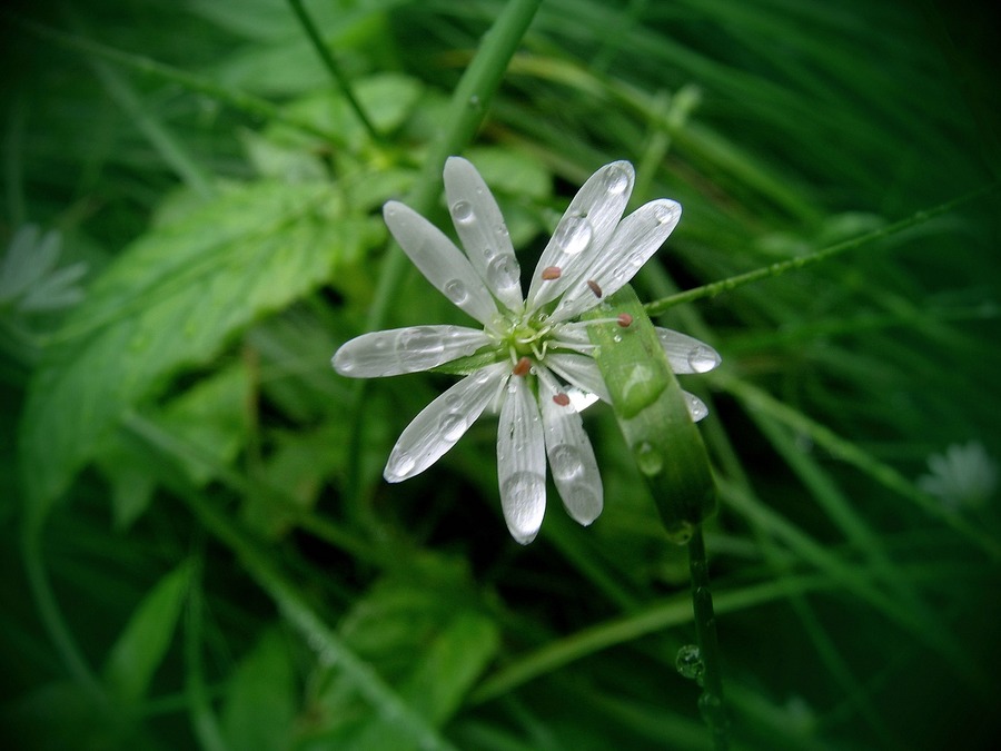 auf regen sollte auch mal die sonne scheinen