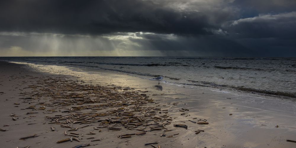 Auf Regen wird Sonnenschein folgen...