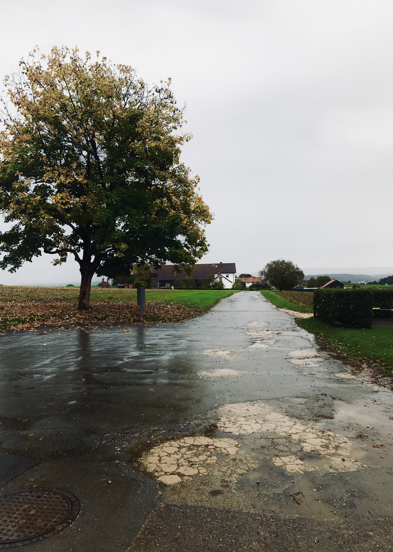 auf regennassen. Wegen durch die Natur