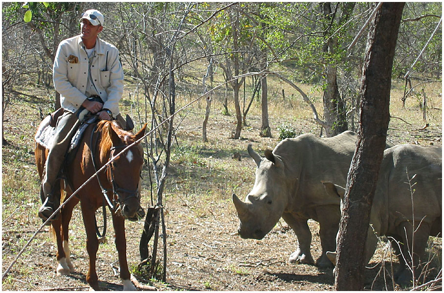 Auf Reitsafari in Südafrika Teil 3