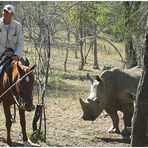 Auf Reitsafari in Südafrika Teil 3