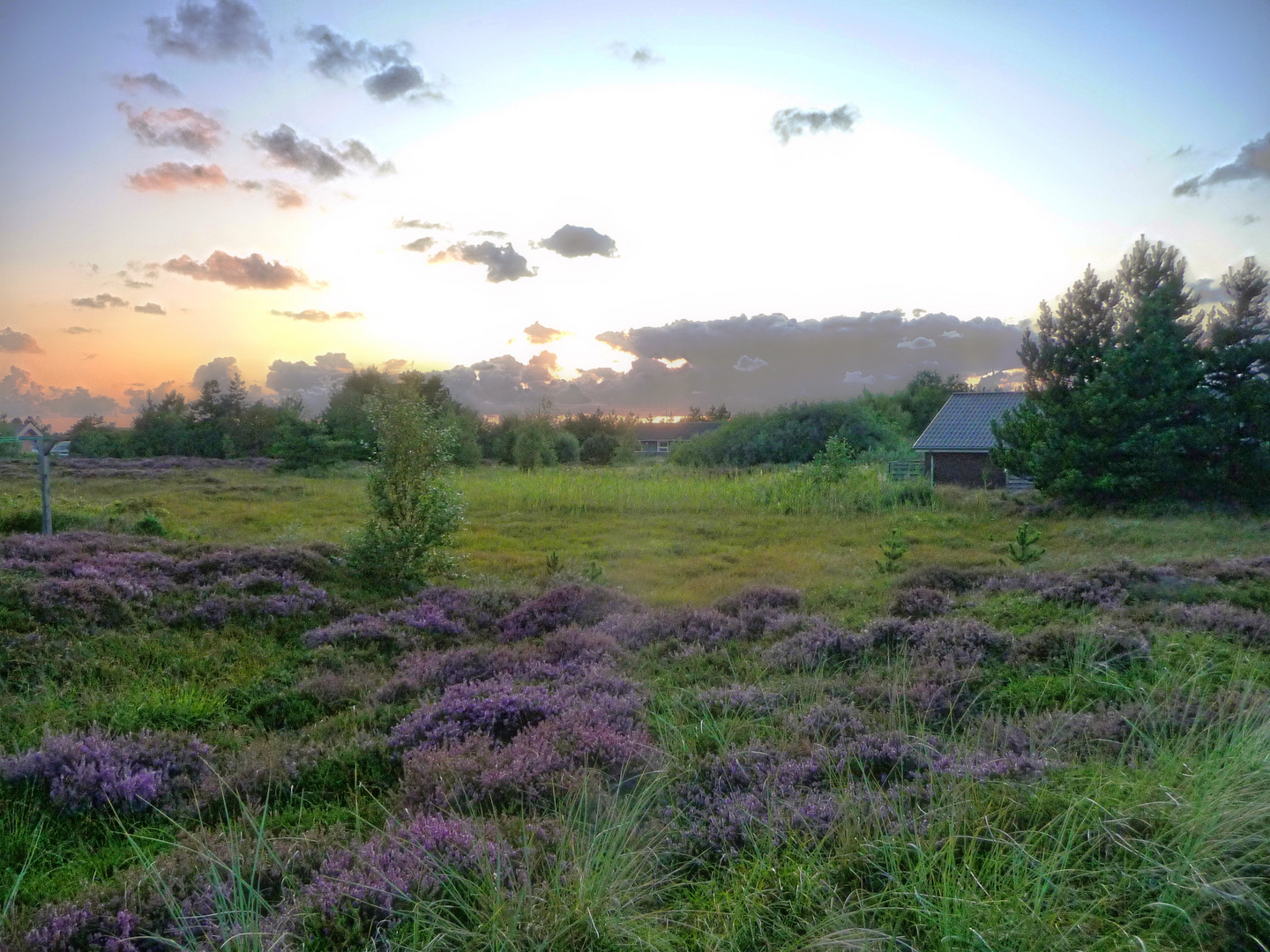 ...auf Römö in Dänemark