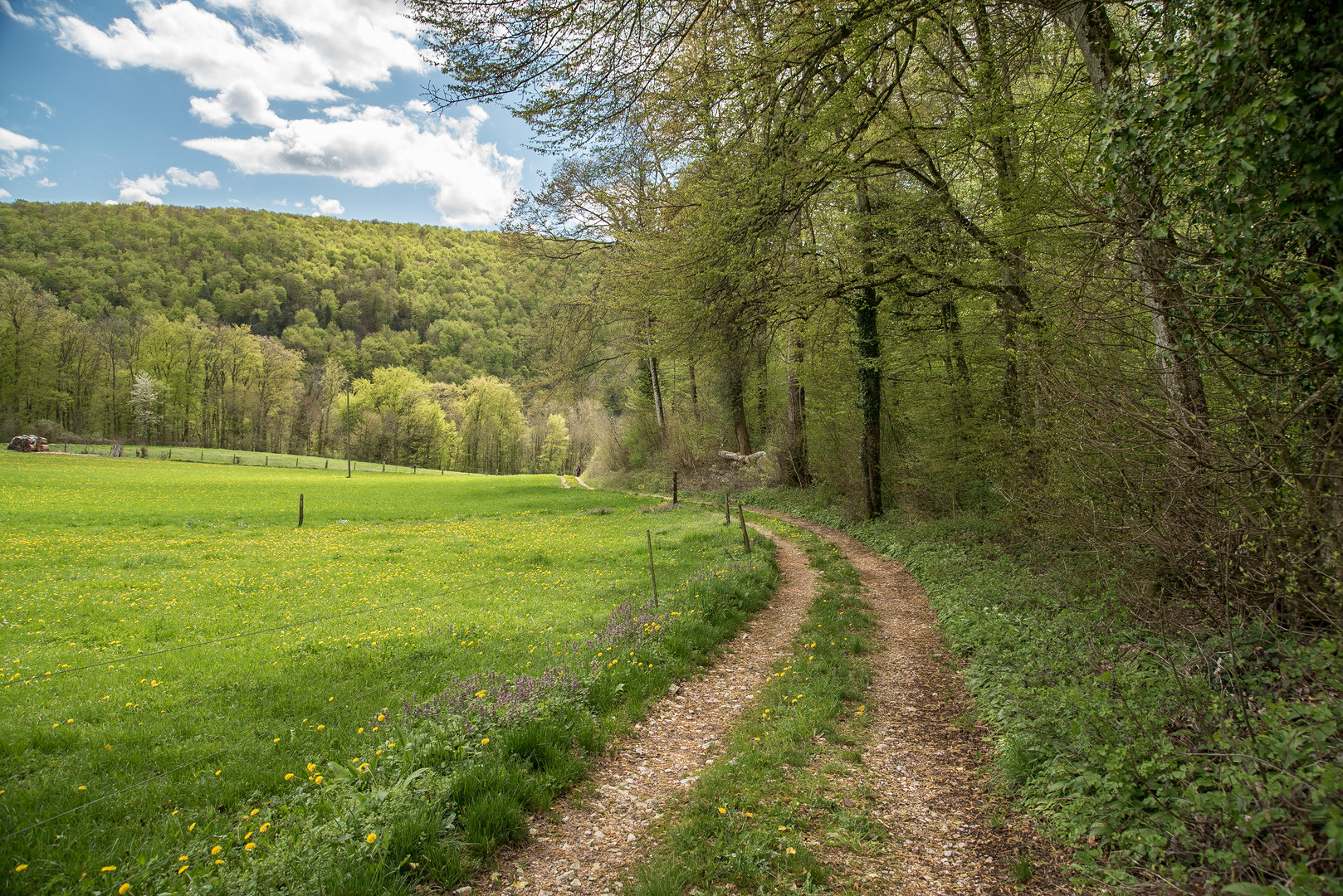 Auf romantischem Weg