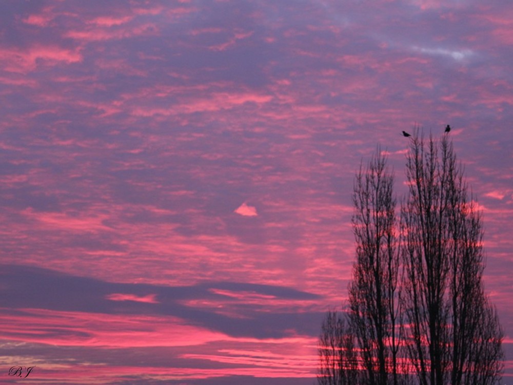 Auf rosa Wolken