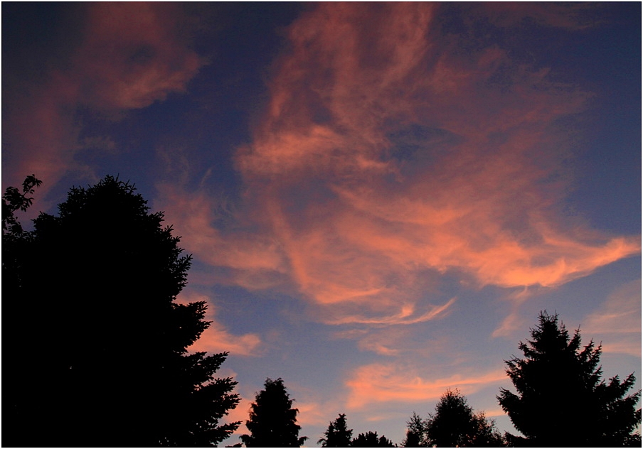 AUF ROSA WOLKEN SCHWEBEN