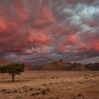 auf rosa Wolken schweben 