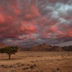 auf rosa Wolken schweben 